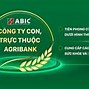 Bảo Hiểm Abic Tuyển Dụng