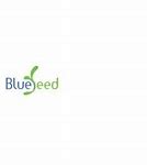 Công Ty Blueseed Tuyển Dụng