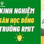 Học Bổng Rmit Báo Nhiều Tiên 2024 Terbaru