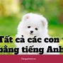 Tên Tiếng Anh Nữ Hay Bắt Đầu Bằng Chữ L