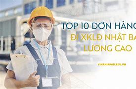 Xkld Mỹ 2022 Lương Cao Hay Thấp Thấp Hơn Tuổi